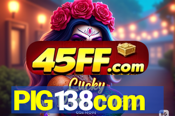 PIG138com
