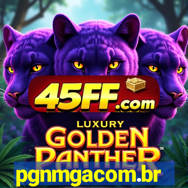 pgnmgacom.br