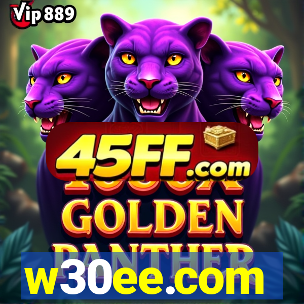 w30ee.com