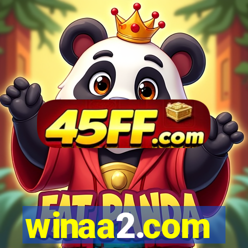 winaa2.com